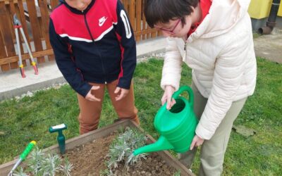 Proljeće u školskom vrtu