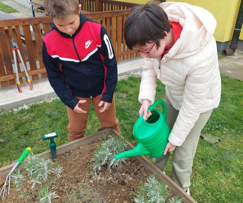 Proljeće u školskom vrtu