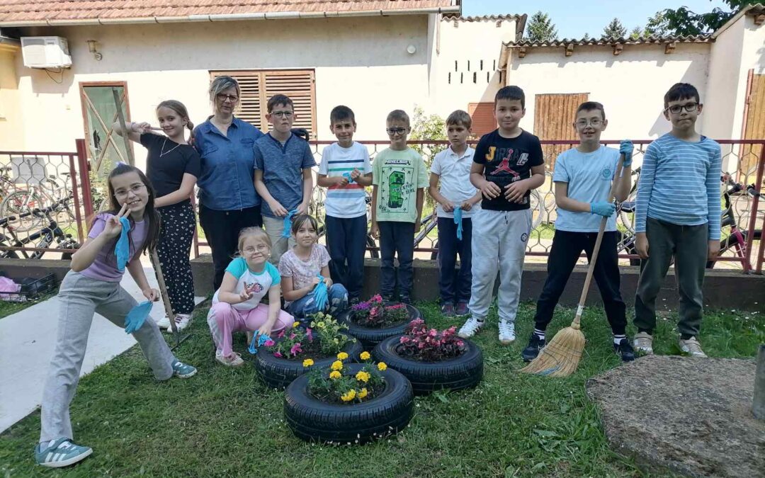 Život biljke cvjetnjače ili zelena oaza 3.r.